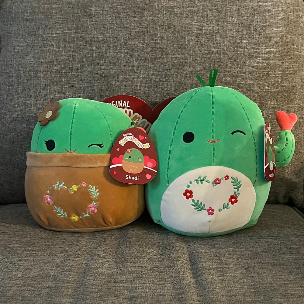 Squishmallows Green and Brown Cactus Duo